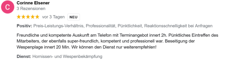 Wespennest entfernen Aarau