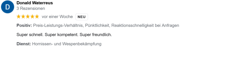 Wespennest entfernen Basel